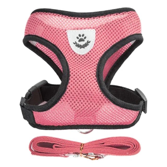 Cat Harness Vest Walking Leash For Puppy dog Collar Polyester Adjustable Mesh Dog Harness For Small Medium Pet Accessories - Avero