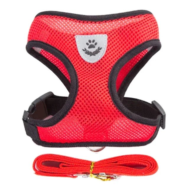 Cat Harness Vest Walking Leash For Puppy dog Collar Polyester Adjustable Mesh Dog Harness For Small Medium Pet Accessories - Avero