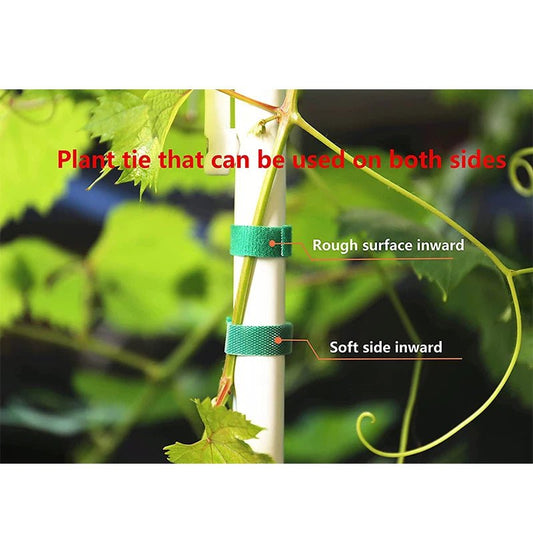 3 Rolls Green Garden Twine Plant Ties Nylon Plant Bandage Garden Hook Loop Bamboo Cane Wrap Support Garden Accessories - Avero