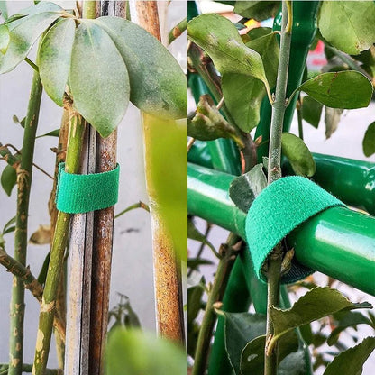 3 Rolls Green Garden Twine Plant Ties Nylon Plant Bandage Garden Hook Loop Bamboo Cane Wrap Support Garden Accessories - Avero