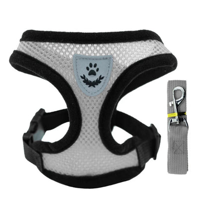 Cat Harness Vest Walking Lead Leash For Puppy dog Collar Polyester Adjustable Mesh Dog Harness For Small Medium Pet Accessories - Avero