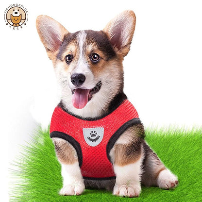 Cat Harness Vest Walking Lead Leash For Puppy dog Collar Polyester Adjustable Mesh Dog Harness For Small Medium Pet Accessories - Avero