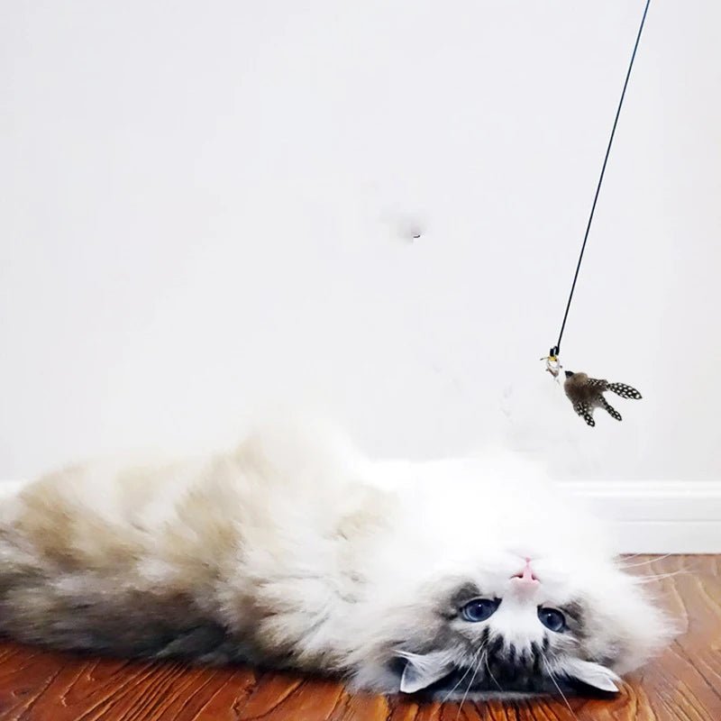 Cat Teaser Stick With Bell, Feather, Long Rod Suction Cup - Avero