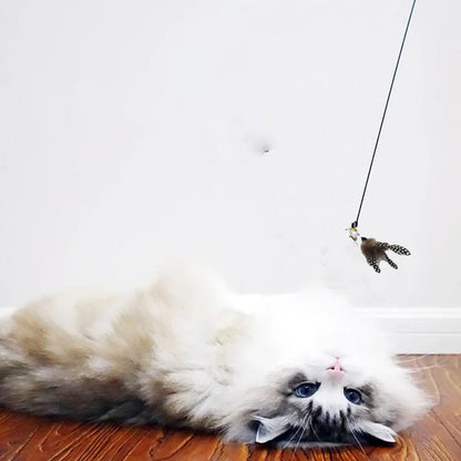 Cat Teaser Stick With Bell, Feather, Long Rod Suction Cup - Avero