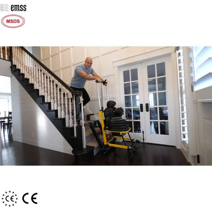 EMSS Disabled Lifts Disabled Electr Chair Disable People - Avero