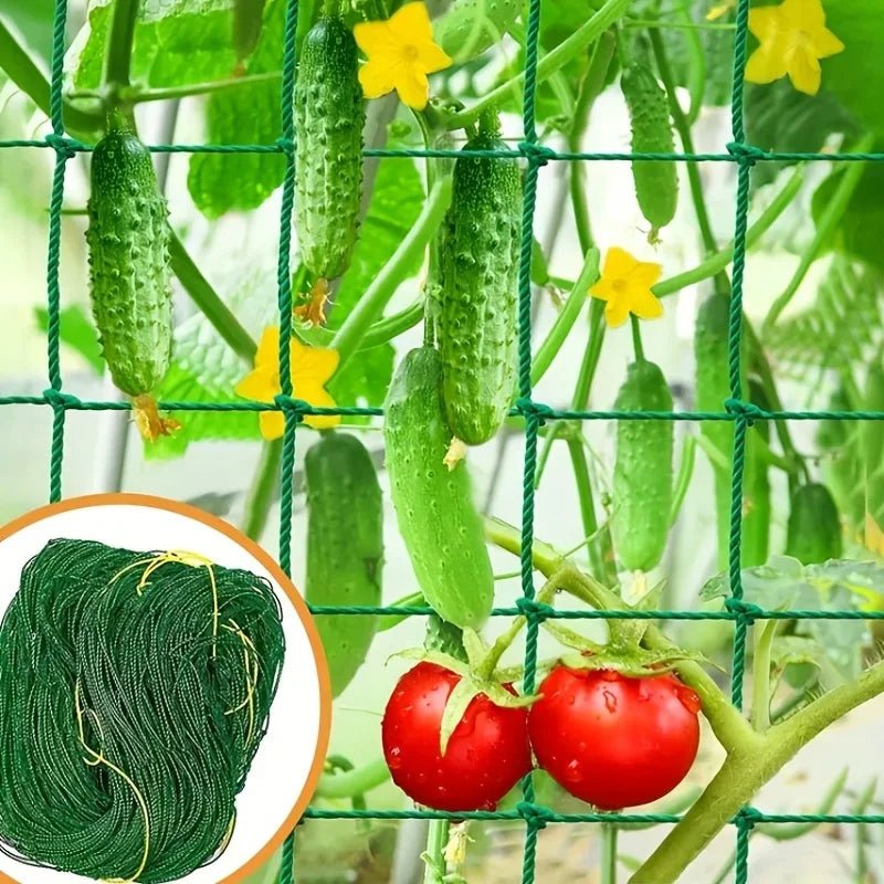Plant Trellis Pergolas, Heavy - Duty Polyester Grow Net, Garden Trellis Netting With Square Mesh For Climbing Plants, Vegetables, - Avero
