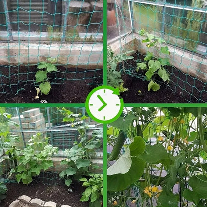 Plant Trellis Pergolas, Heavy - Duty Polyester Grow Net, Garden Trellis Netting With Square Mesh For Climbing Plants, Vegetables, - Avero