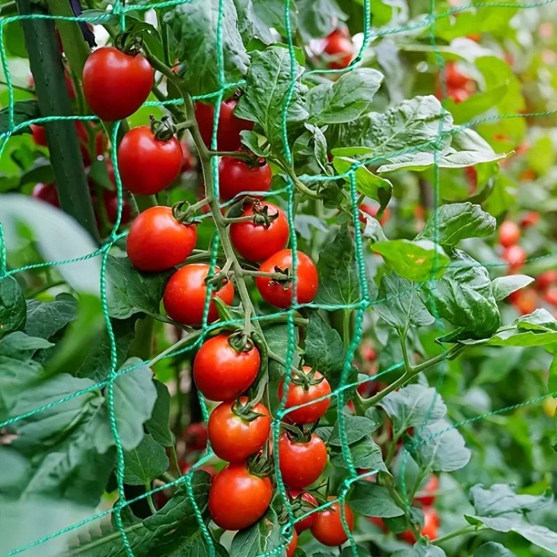Plant Trellis Pergolas, Heavy - Duty Polyester Grow Net, Garden Trellis Netting With Square Mesh For Climbing Plants, Vegetables, - Avero
