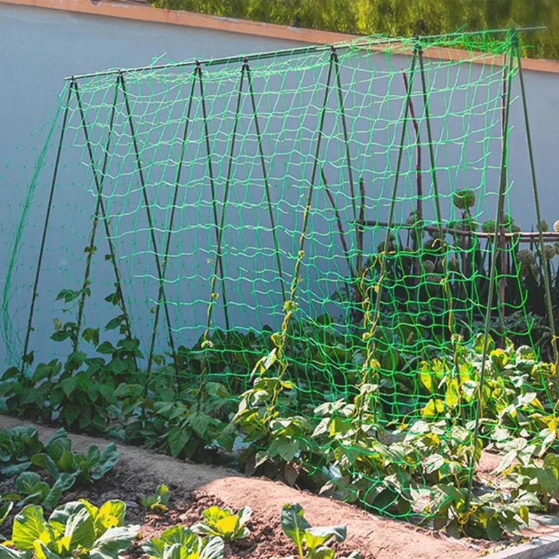 Plant Trellis Pergolas, Heavy - Duty Polyester Grow Net, Garden Trellis Netting With Square Mesh For Climbing Plants, Vegetables, - Avero