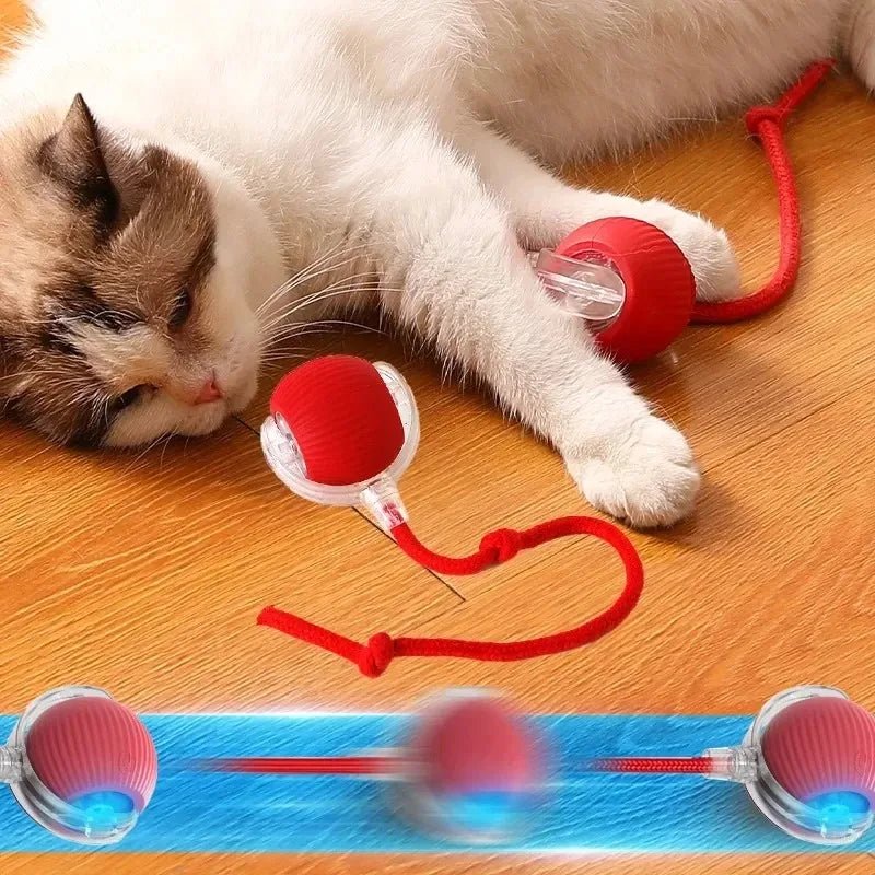 Smart Cat Toys Automatic Rolling Ball Fake Tail Rechargeable Electric Pet Interactive Toy Dog Cat Training Imitate Mouse Tail - Avero