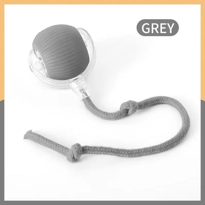 Smart Cat Toys Automatic Rolling Ball Fake Tail Rechargeable Electric Pet Interactive Toy Dog Cat Training Imitate Mouse Tail - Avero