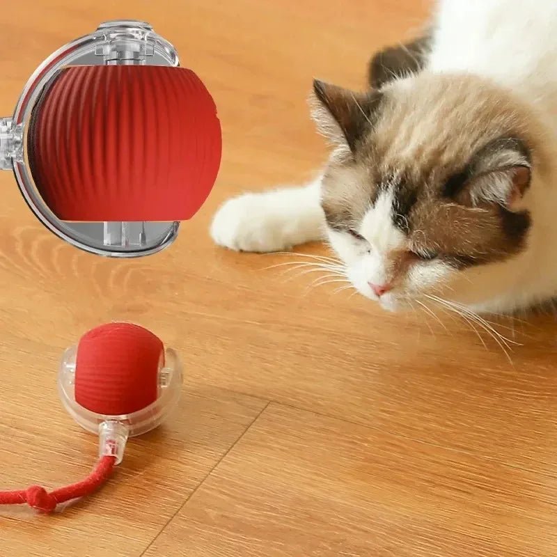 Smart Cat Toys Automatic Rolling Ball Fake Tail Rechargeable Electric Pet Interactive Toy Dog Cat Training Imitate Mouse Tail - Avero