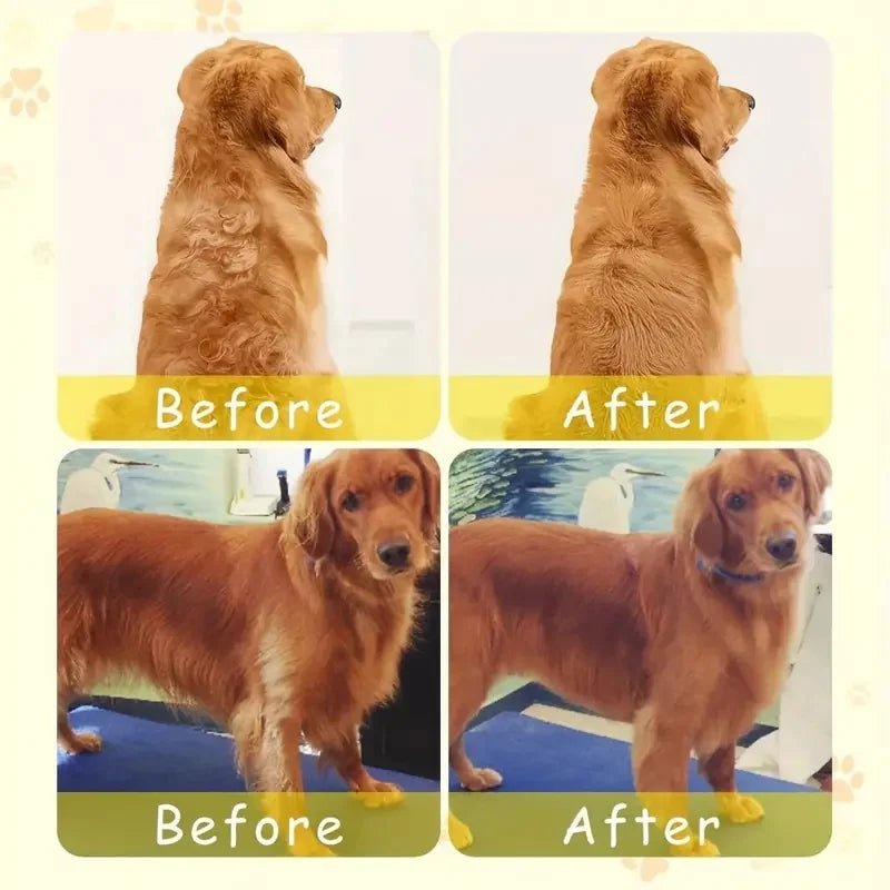 Steamy Dog Brush Electric Spray Cat Hair Brush 3 In1 Dog Steamer Brush for Massage Pet Grooming Removing Tangled and Loose Hair - Avero